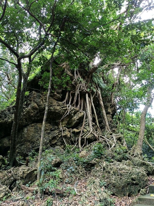墾丁國家森林遊樂園