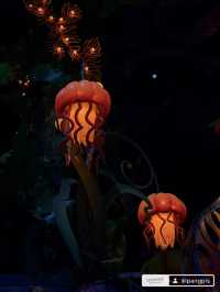 🌖 Night @DisneySea สวยม๊าก สวยเหมือนไม่มีอยู่จริง