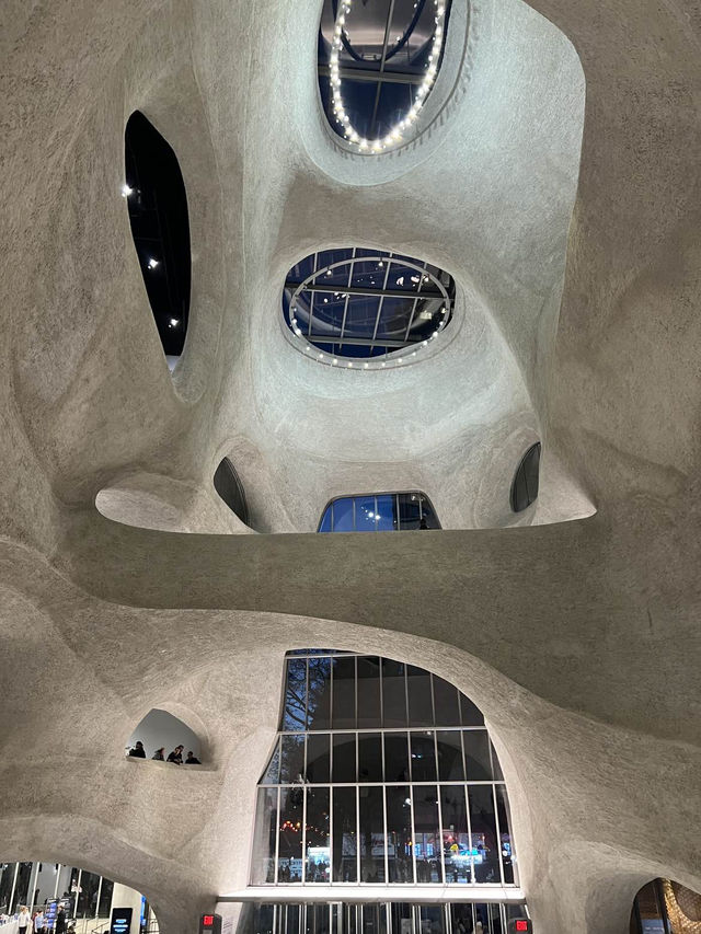 ［紐約旅行］紐約自然歷史科學博物館American Museum of Natural History🦴晚上會活起來的博物館
