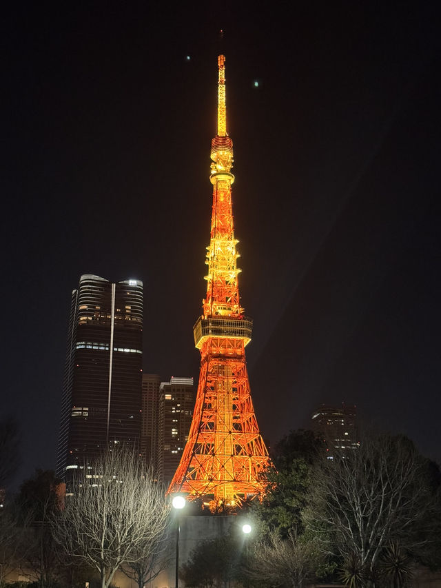 ๐ผ ๋์ฟ ํ์ (Tokyo Tower) ๐ผ ๋์ฟ ํ์ (Tokyo Tower)