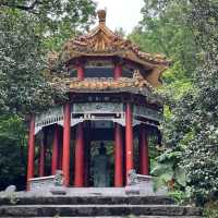 🌸⛰️ Yangming Park – The Heart of Yangmingshan 🌳✨