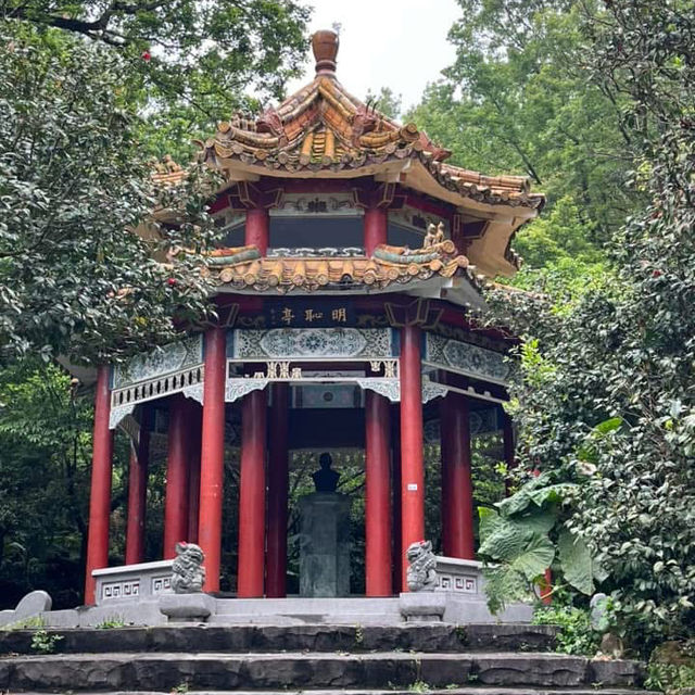 🌸⛰️ Yangming Park – The Heart of Yangmingshan 🌳✨