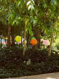 Starling Mall’s Green Oasis: An Urban Park for Slow Living 🌳🚶♀️