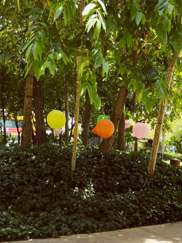 Starling Mall’s Green Oasis: An Urban Park for Slow Living 🌳🚶♀️