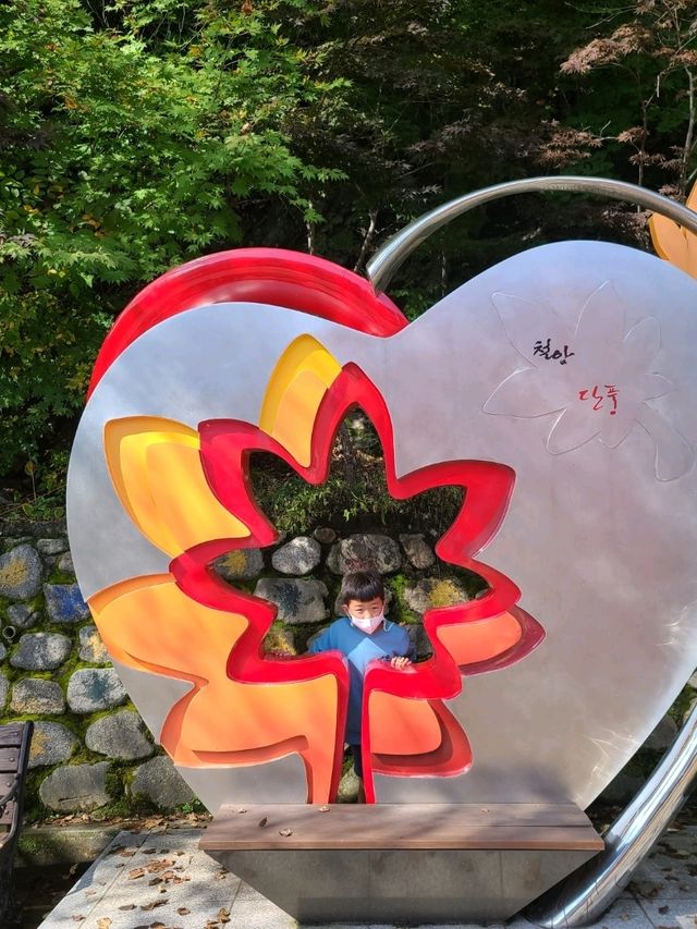 태백 철암🧡단풍숲에 갇힌 행복한 하루