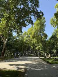 🚶‍♀️ A Weekend Walk Around Tashkent
