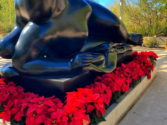 🌵 “Desert Botanical Garden – Where the Desert Blooms with Life!”
