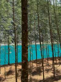 Emerald Quarry Magic at Tham Thonglang