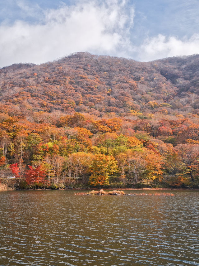 【穴場の紅葉】観光攻略付‼️赤城山で最も雄大な紅葉と水鏡の絶景を楽しむ🌊 🍁⛩️✨