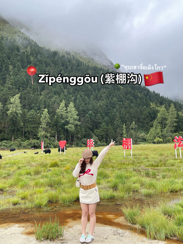 🇨🇳 Zǐpénggōu (紫棚沟) หรือ “หุบเขาจื่อเผิงโกว”📍