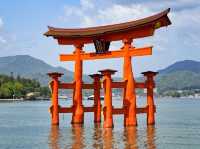 Timeless Miyajima🌊