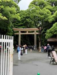 東京明治公園：四季流轉中的都市綠洲，邂逅日式浪漫