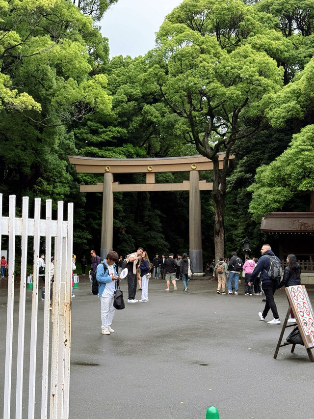 東京明治公園：四季流轉中的都市綠洲，邂逅日式浪漫