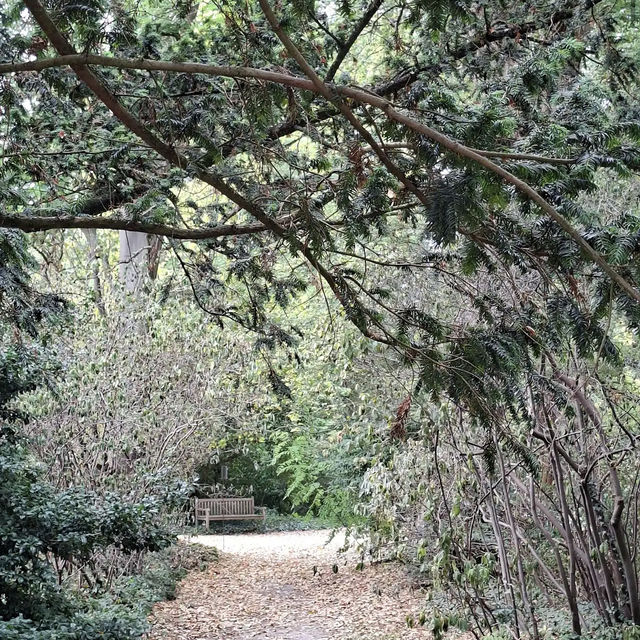 Arboretum Kalmthout