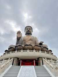 Sunny Dharma Bliss🌞