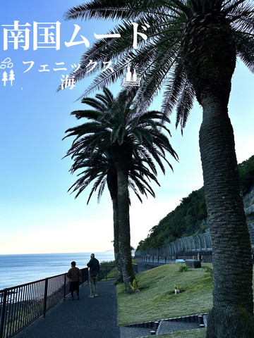 フェニックスと青い海の風景に感動 | Trip.com 宮崎市