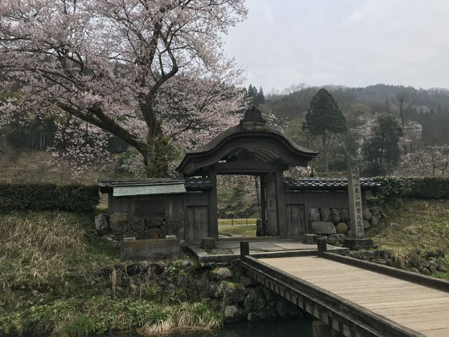 【福井・一乗谷朝倉氏遺跡🏯】戦国ロマンが息づく“日本のポンペイ”へ