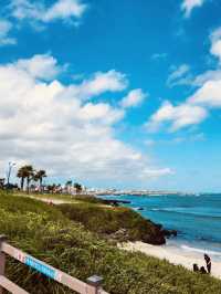 Coastal Walk and Scenic Bridge Views