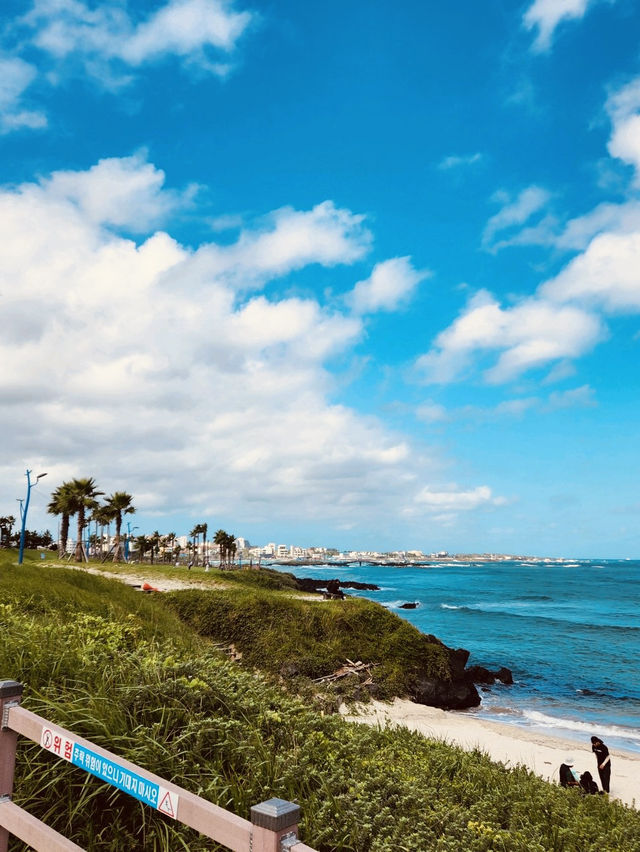 Coastal Walk and Scenic Bridge Views