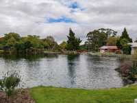 Kuirau Park, Rotorua: A Free Geothermal Wonder