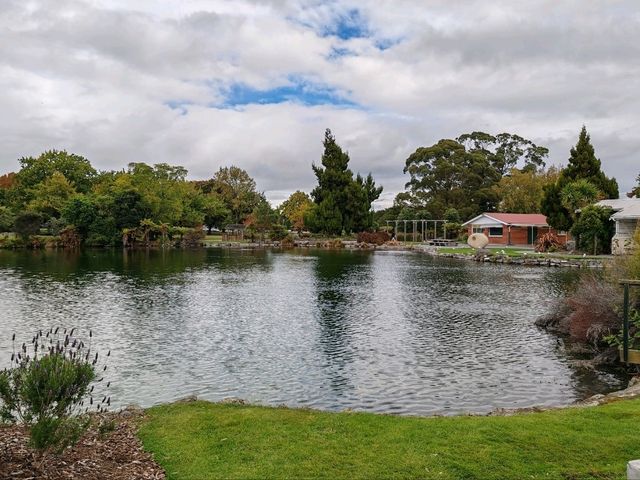 Kuirau Park, Rotorua: A Free Geothermal Wonder