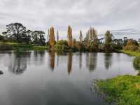 The Idyllic Scenery of Hobbiton