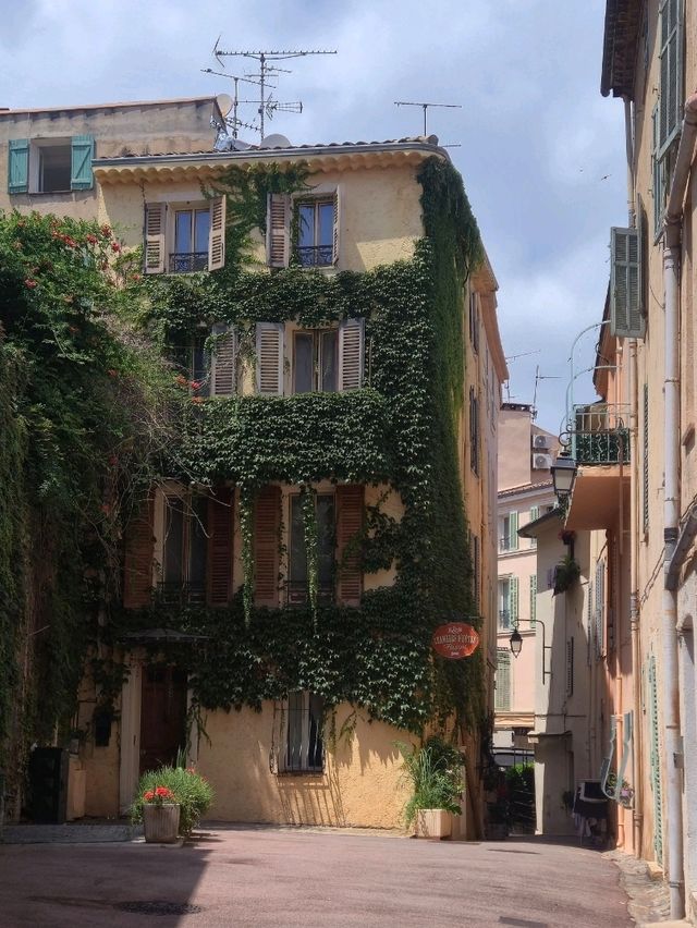 니스 근교 여행 : 다양한 매력의 칸 시내 구경 🇫🇷