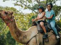 Casela Nature Parks - Warm & caring moment ❤️
