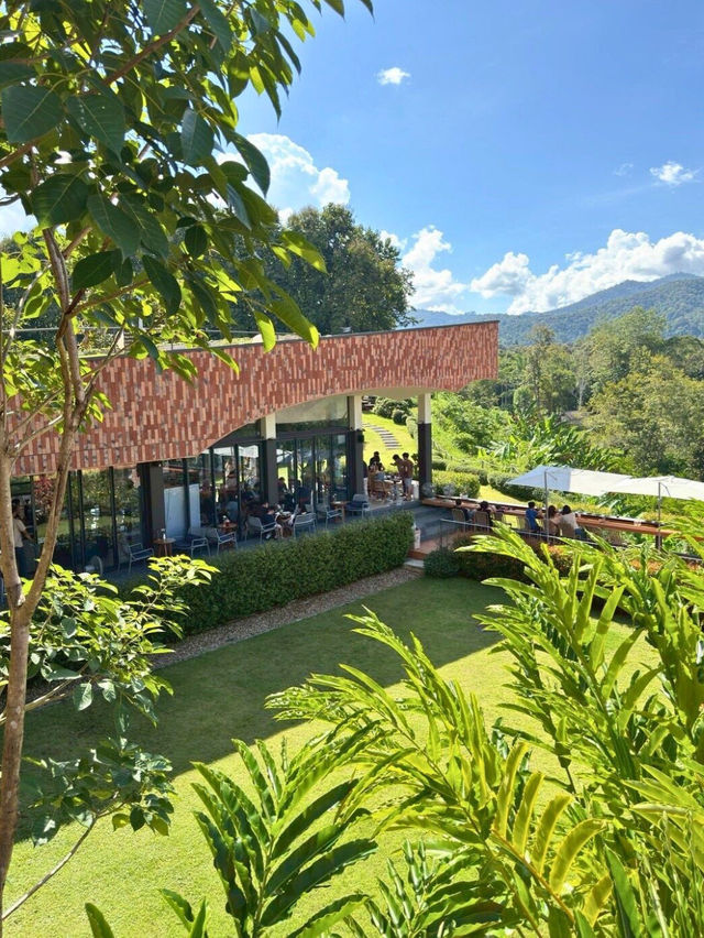 💯TATA Chiang Dao 💯TATA Chiang Dao