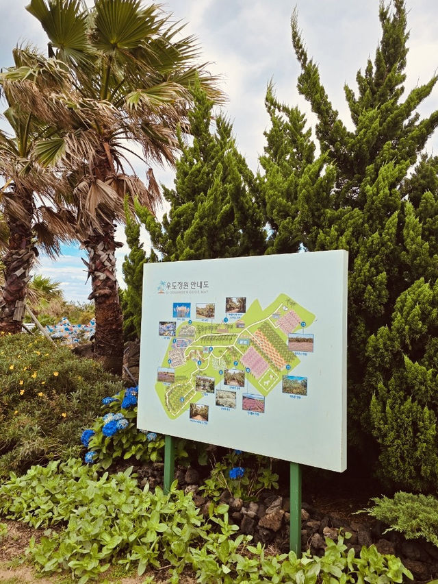 Perfect Stop on the Udo Coastal Loop