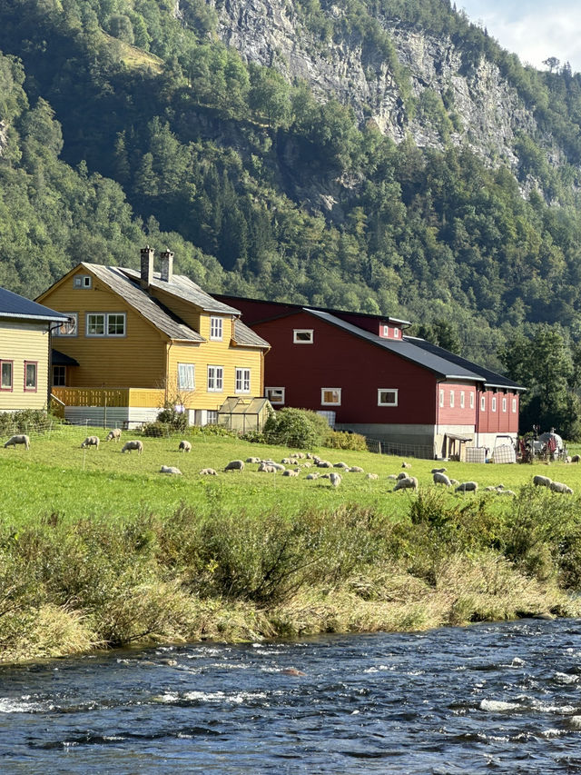 Magical Bergen, Norway 🌄   Magical Bergen, Norway 🌄