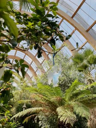 シェフィールド – 鋼鉄の街と緑の魅力