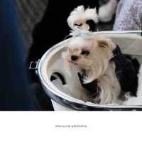 🏙 Xiantianti – ย่านช้อปปิ้งและไลฟ์สไตล์