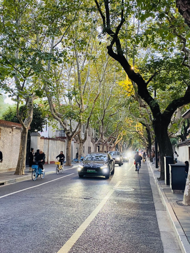 Shanghai experienced Shanghai experienced