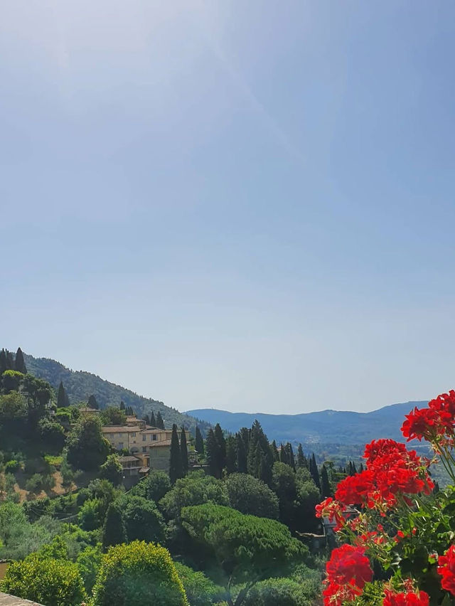 A Lemon-Scented Dream: Family Adventure at La Citronneraie