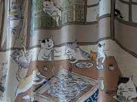 🇭🇰Cat Themed Japanese Restaurant🐾