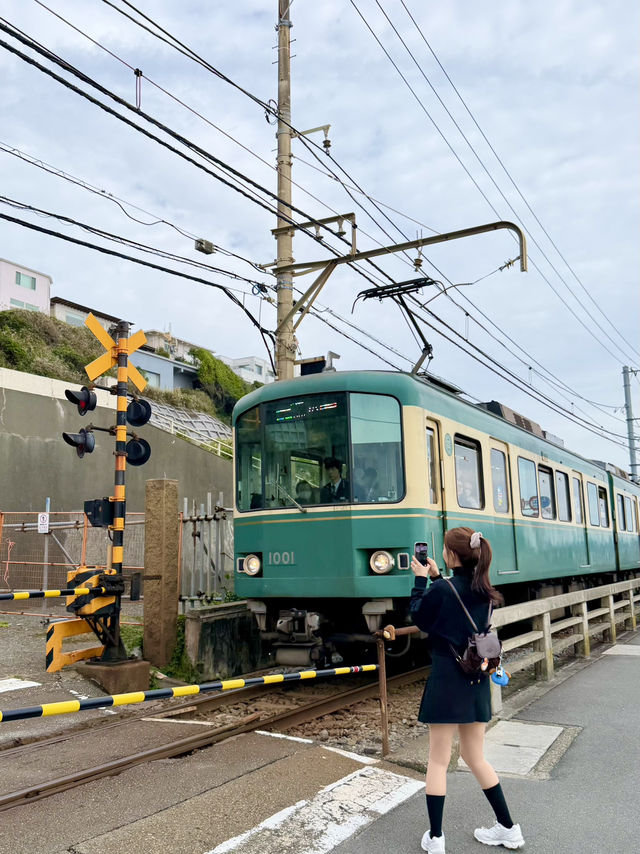 도쿄 4박5일 여행기 도쿄 4박5일 여행기