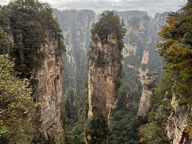 Zhangjiajie National forest park🙌🏼✨🔮 Zhangjiajie National forest park🙌🏼✨🔮