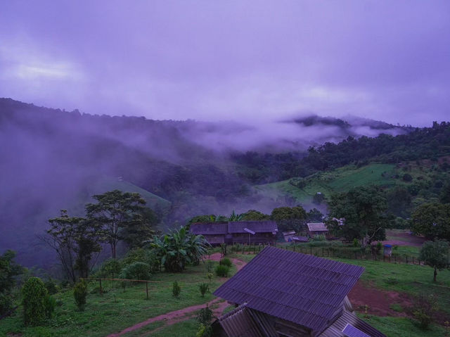 แม่จอกเดอกว่าฉ่าโอมสเตย์ อ.แม่แตง จ.เชียงใหม่