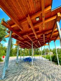 🌿 St. Patrick’s Island – Calgary’s Urban Nature Escape