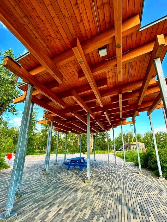 🌿 St. Patrick’s Island – Calgary’s Urban Nature Escape