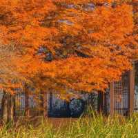 ์ ์ฃผ์๋ชฉ์์ด ์ด๋ ๊ฒ ์ด์๋ค๊ณ ?