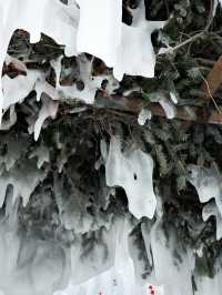 長白山｜留一點點遺憾吧！