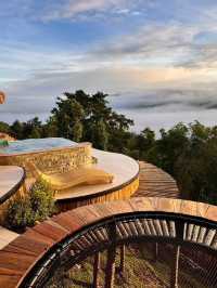 บ้านป่าหมอก