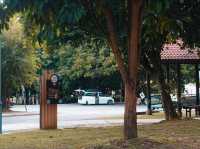 Urban Birding: Putrajaya’s Hidden Nature Hotspot 🕊️