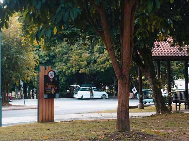 Urban Birding: Putrajaya’s Hidden Nature Hotspot 🕊️ Urban Birding: Putrajaya’s Hidden Nature Hotspot 🕊️