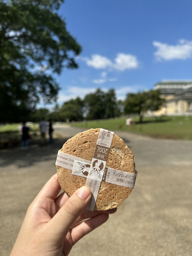 🇯🇵奈良一日遊|鹿群×古寺×人氣咖啡甜品巡禮✨ 🇯🇵奈良一日遊|鹿群×古寺×人氣咖啡甜品巡禮✨