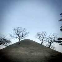 ๐๊ฒฝ์ฃผ์ ๋ฐค์ ๋น์ ์ ๋ฎ๋ณด๋ค ์๋ฆ๋ต๋ค