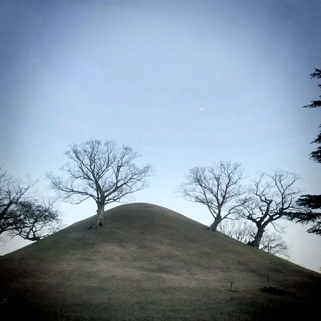 ๐๊ฒฝ์ฃผ์ ๋ฐค์ ๋น์ ์ ๋ฎ๋ณด๋ค ์๋ฆ๋ต๋ค ๐๊ฒฝ์ฃผ์ ๋ฐค์ ๋น์ ์ ๋ฎ๋ณด๋ค ์๋ฆ๋ต๋ค