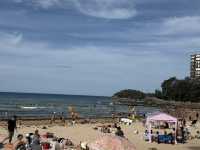 맨리 비치의 청량한 파도와 자유로운 분위기 여행지 🇦🇺